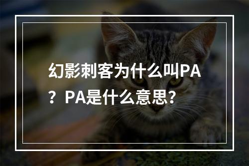 幻影刺客为什么叫PA？PA是什么意思？