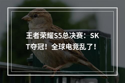 王者荣耀S5总决赛：SKT夺冠！全球电竞乱了！