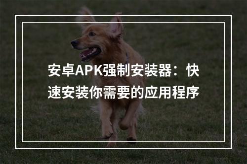 安卓APK强制安装器：快速安装你需要的应用程序