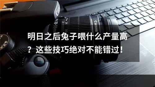 明日之后兔子喂什么产量高？这些技巧绝对不能错过！