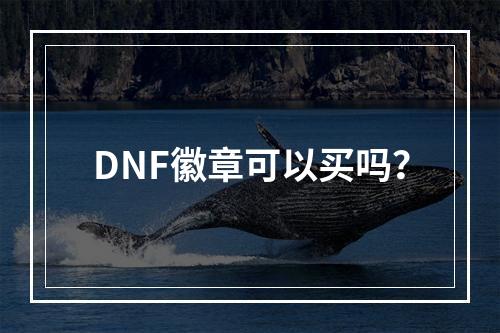 DNF徽章可以买吗？