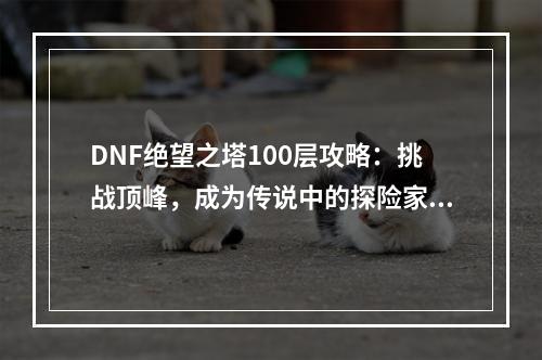 DNF绝望之塔100层攻略：挑战顶峰，成为传说中的探险家！