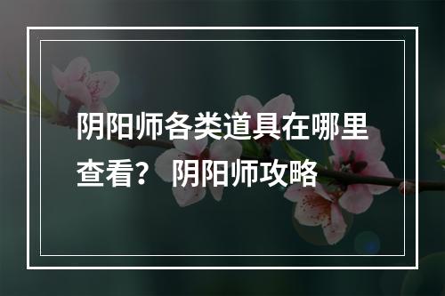 阴阳师各类道具在哪里查看？ 阴阳师攻略