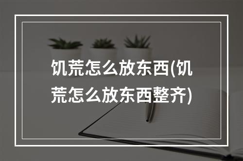 饥荒怎么放东西(饥荒怎么放东西整齐)