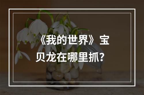 《我的世界》宝贝龙在哪里抓？