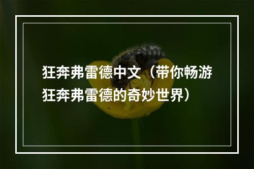 狂奔弗雷德中文（带你畅游狂奔弗雷德的奇妙世界）