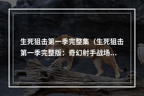 生死狙击第一季完整集（生死狙击第一季完整版：奇幻射手战场）