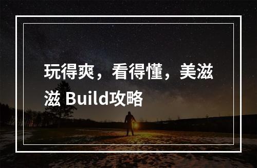 玩得爽，看得懂，美滋滋 Build攻略