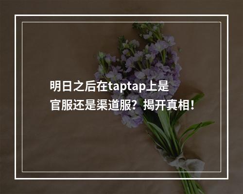 明日之后在taptap上是官服还是渠道服？揭开真相！