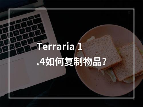 Terraria 1.4如何复制物品？