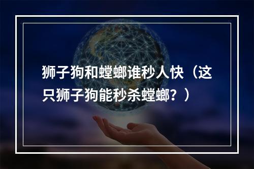 狮子狗和螳螂谁秒人快（这只狮子狗能秒杀螳螂？）