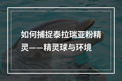 如何捕捉泰拉瑞亚粉精灵——精灵球与环境