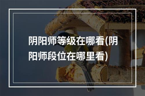 阴阳师等级在哪看(阴阳师段位在哪里看)