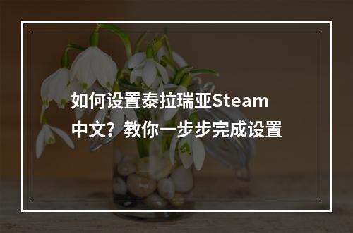 如何设置泰拉瑞亚Steam中文？教你一步步完成设置