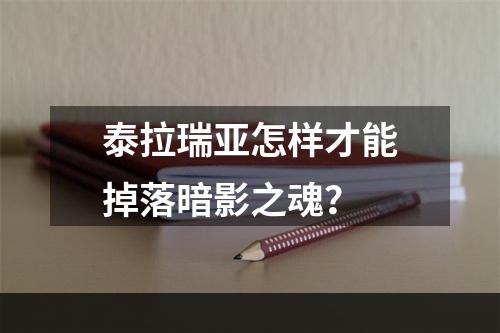 泰拉瑞亚怎样才能掉落暗影之魂？