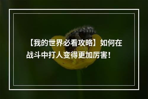 【我的世界必看攻略】如何在战斗中打人变得更加厉害！