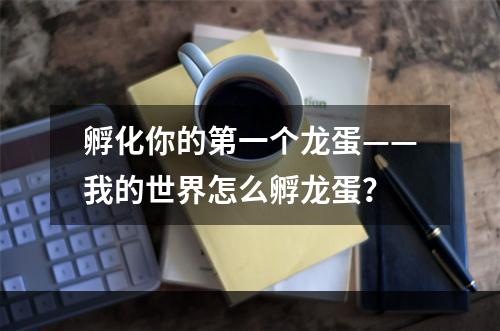 孵化你的第一个龙蛋——我的世界怎么孵龙蛋？