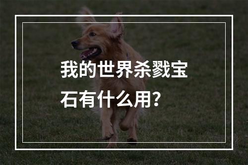 我的世界杀戮宝石有什么用？