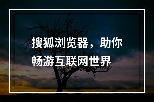 搜狐浏览器，助你畅游互联网世界