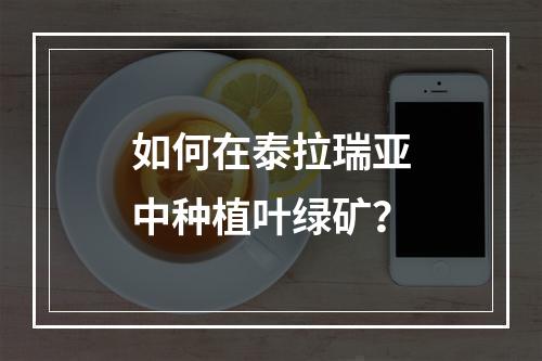 如何在泰拉瑞亚中种植叶绿矿？