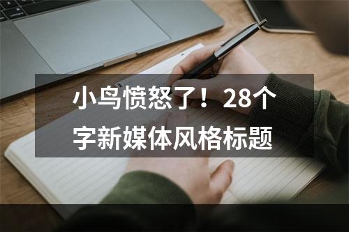 小鸟愤怒了！28个字新媒体风格标题