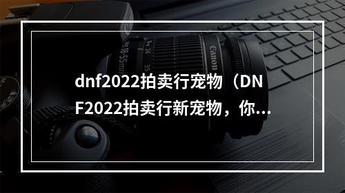 dnf2022拍卖行宠物（DNF2022拍卖行新宠物，你不可错过的三个原因）