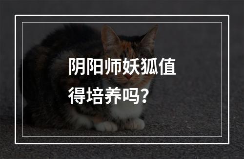 阴阳师妖狐值得培养吗？