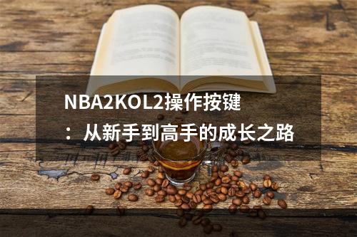 NBA2KOL2操作按键：从新手到高手的成长之路