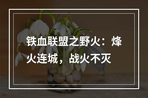 铁血联盟之野火：烽火连城，战火不灭