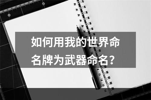 如何用我的世界命名牌为武器命名？