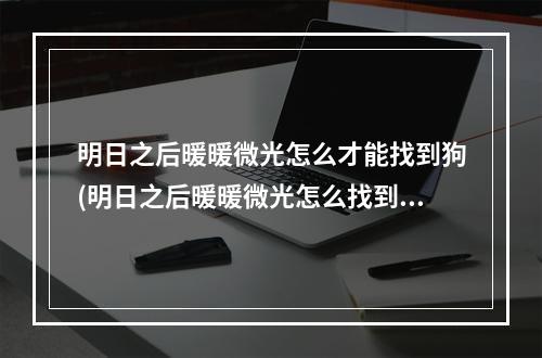 明日之后暖暖微光怎么才能找到狗(明日之后暖暖微光怎么找到狗狗喂食)