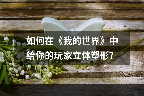 如何在《我的世界》中给你的玩家立体塑形？