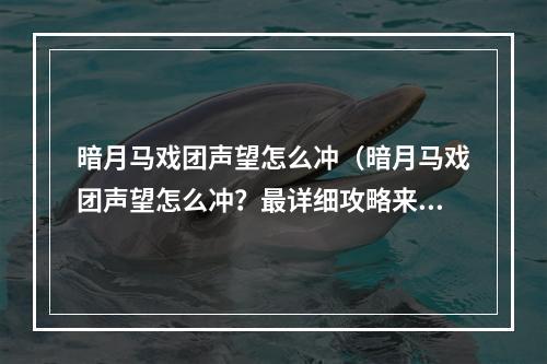 暗月马戏团声望怎么冲（暗月马戏团声望怎么冲？最详细攻略来了！）