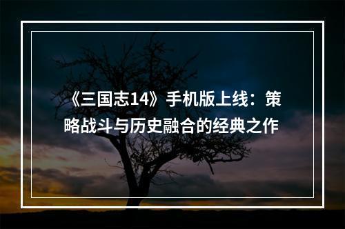 《三国志14》手机版上线：策略战斗与历史融合的经典之作