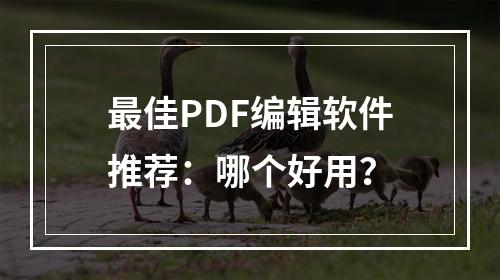 最佳PDF编辑软件推荐：哪个好用？