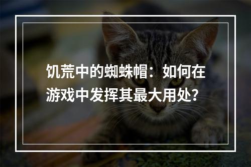 饥荒中的蜘蛛帽：如何在游戏中发挥其最大用处？