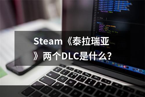 Steam《泰拉瑞亚》两个DLC是什么？