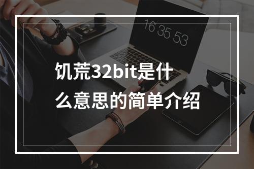 饥荒32bit是什么意思的简单介绍