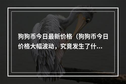 狗狗币今日最新价格（狗狗币今日价格大幅波动，究竟发生了什么？）