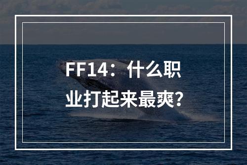 FF14：什么职业打起来最爽？