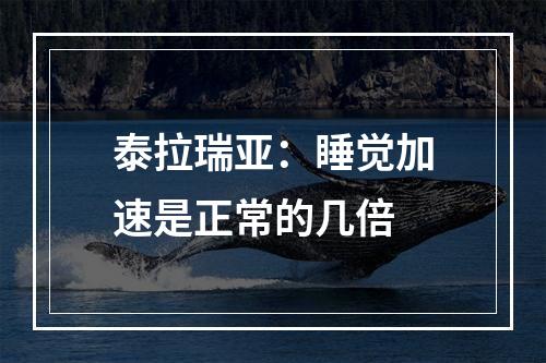 泰拉瑞亚：睡觉加速是正常的几倍