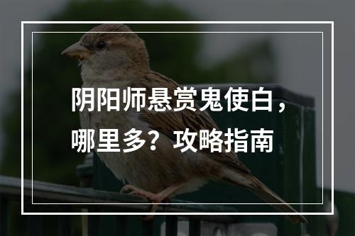 阴阳师悬赏鬼使白，哪里多？攻略指南