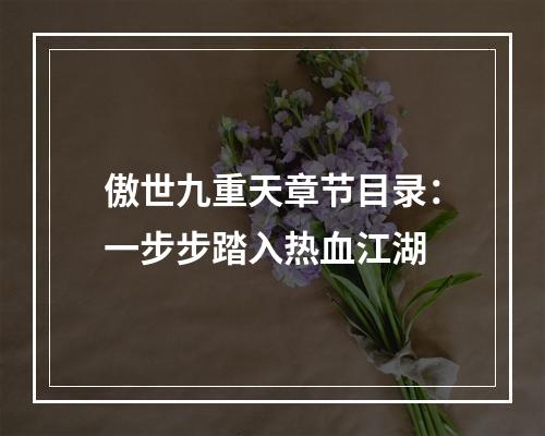 傲世九重天章节目录：一步步踏入热血江湖