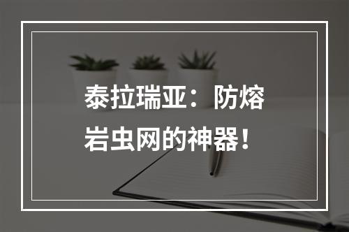 泰拉瑞亚：防熔岩虫网的神器！