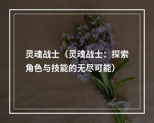 灵魂战士（灵魂战士：探索角色与技能的无尽可能）