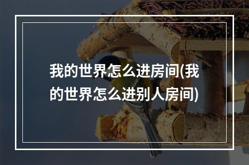 我的世界怎么进房间(我的世界怎么进别人房间)