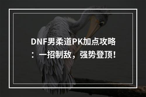 DNF男柔道PK加点攻略：一招制敌，强势登顶！