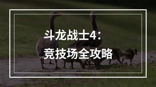 斗龙战士4：竞技场全攻略