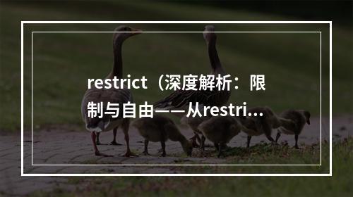 restrict（深度解析：限制与自由——从restrict说起）