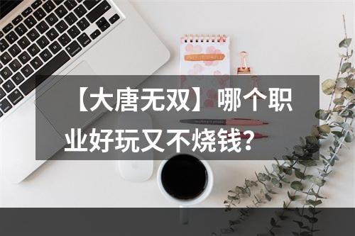 【大唐无双】哪个职业好玩又不烧钱？